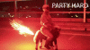 Party+Hard.+Party+hard_a16f60_4759532.gif
